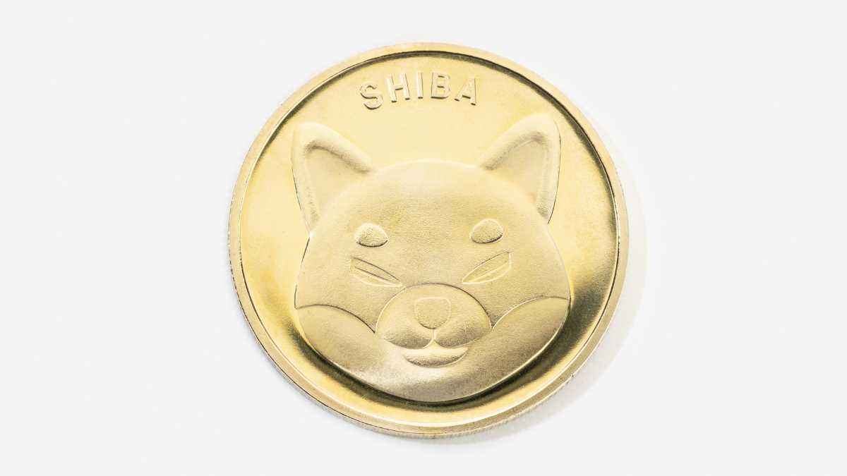 Shiba Inu Coin Hoje Vale A Pena Comprar Vai Valorizar Em 2023